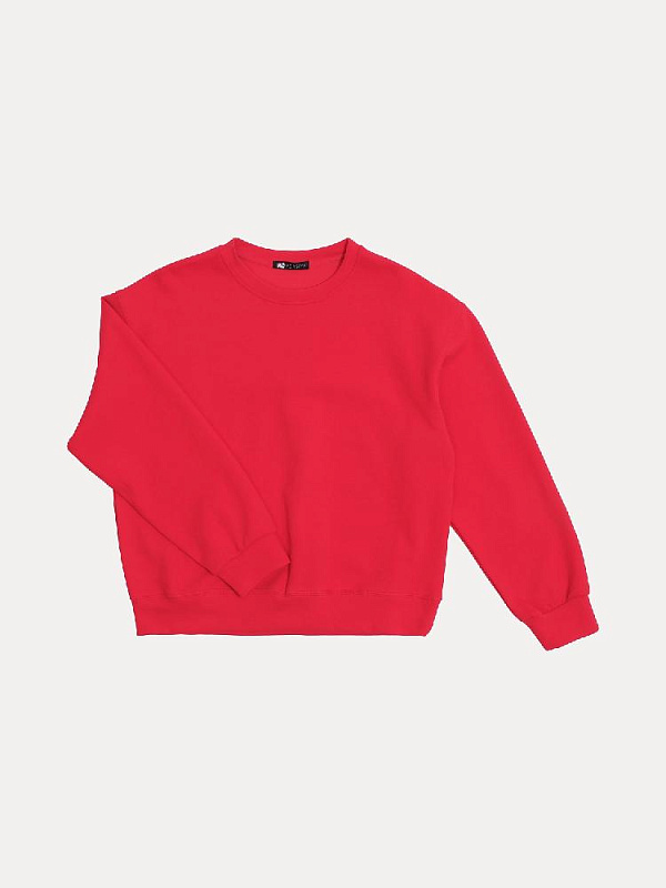 Свитшот (10691SVH)